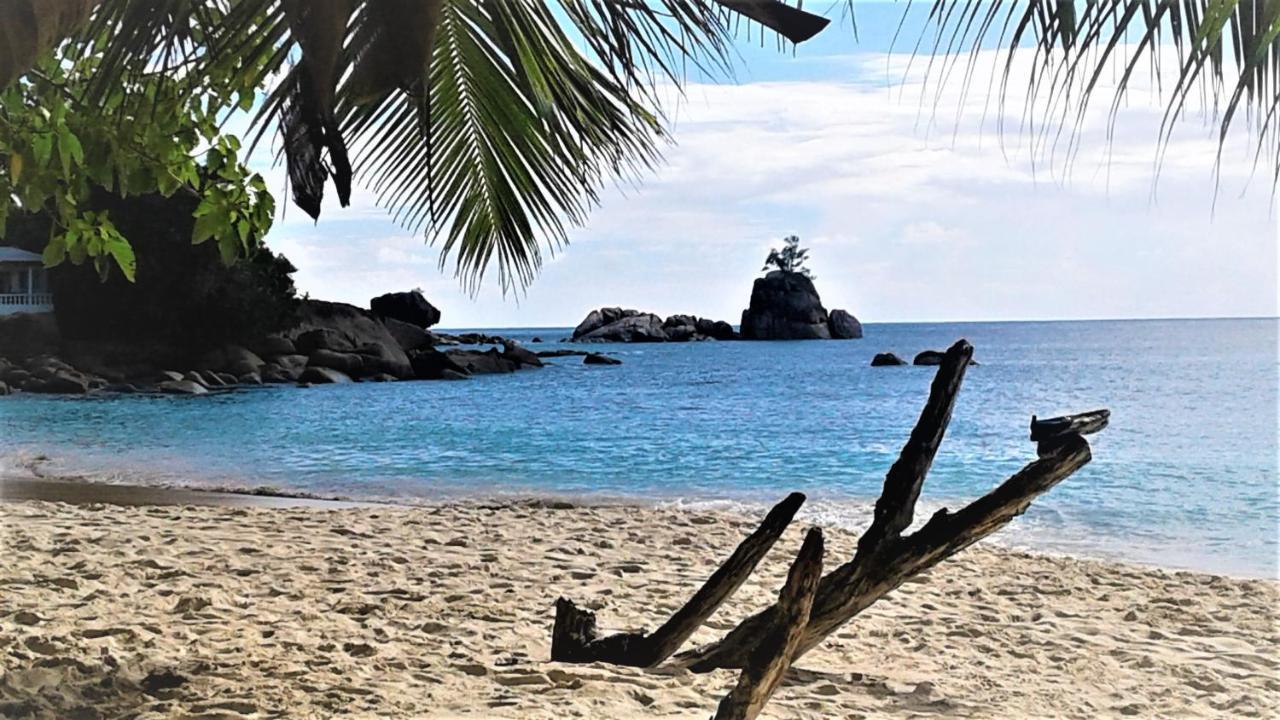 Seychelles Yellow Petals Anse Boileau Ngoại thất bức ảnh
