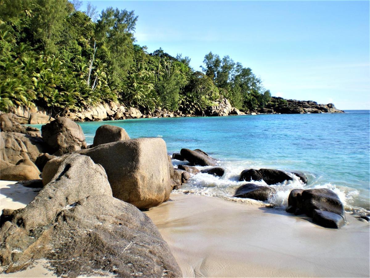 Seychelles Yellow Petals Anse Boileau Ngoại thất bức ảnh