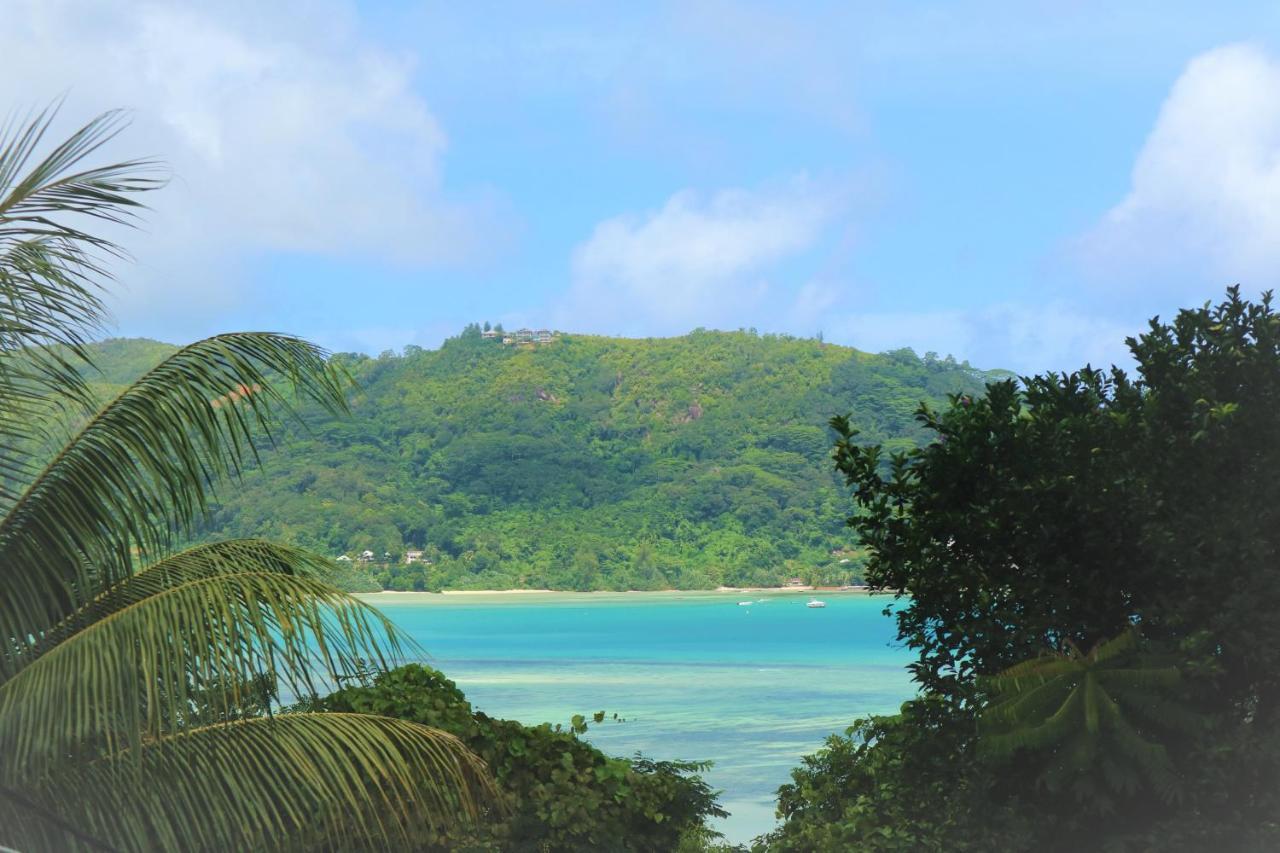 Seychelles Yellow Petals Anse Boileau Ngoại thất bức ảnh